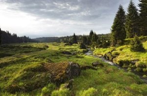 šumava